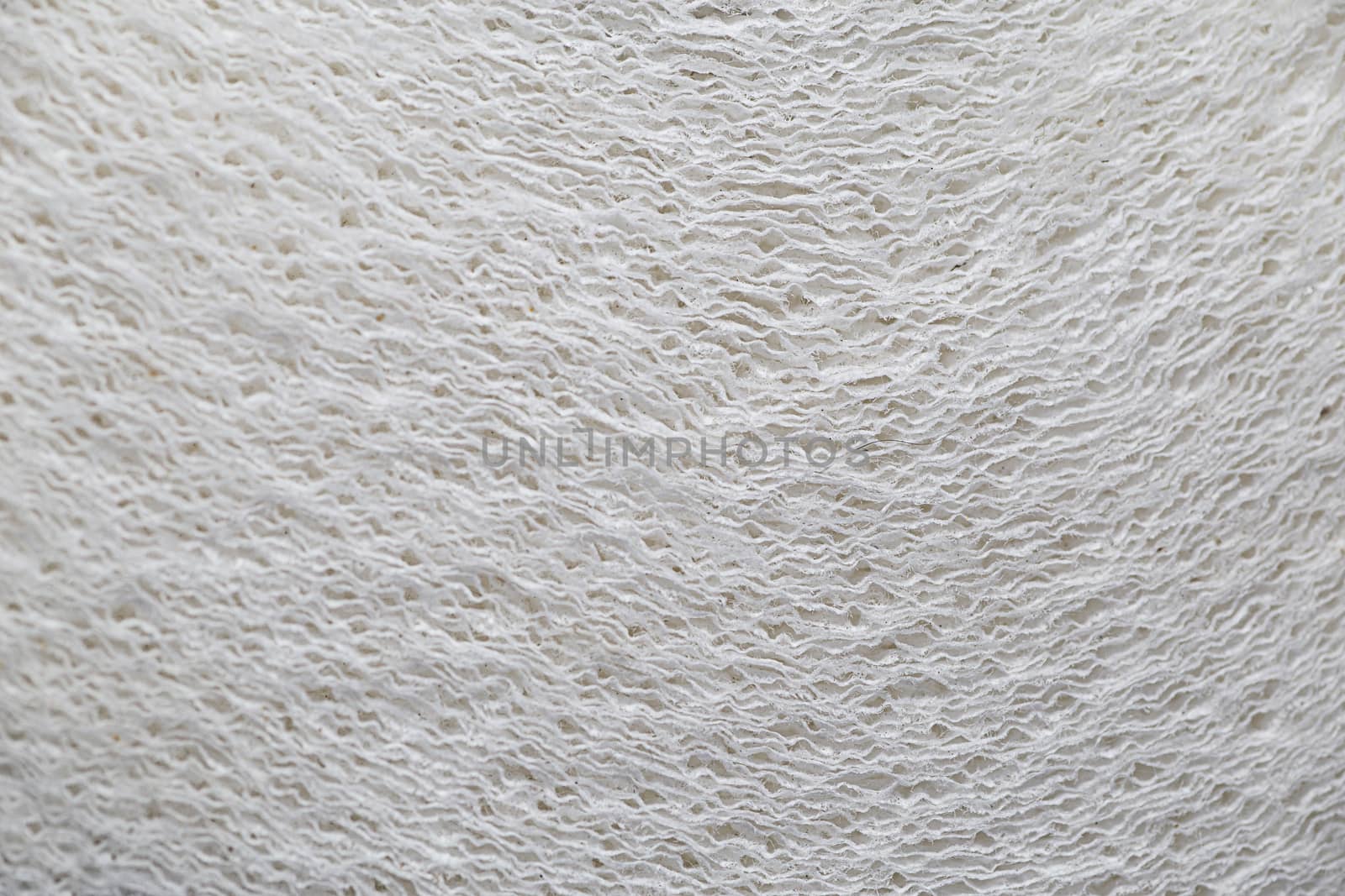 close up of roll of paper towels