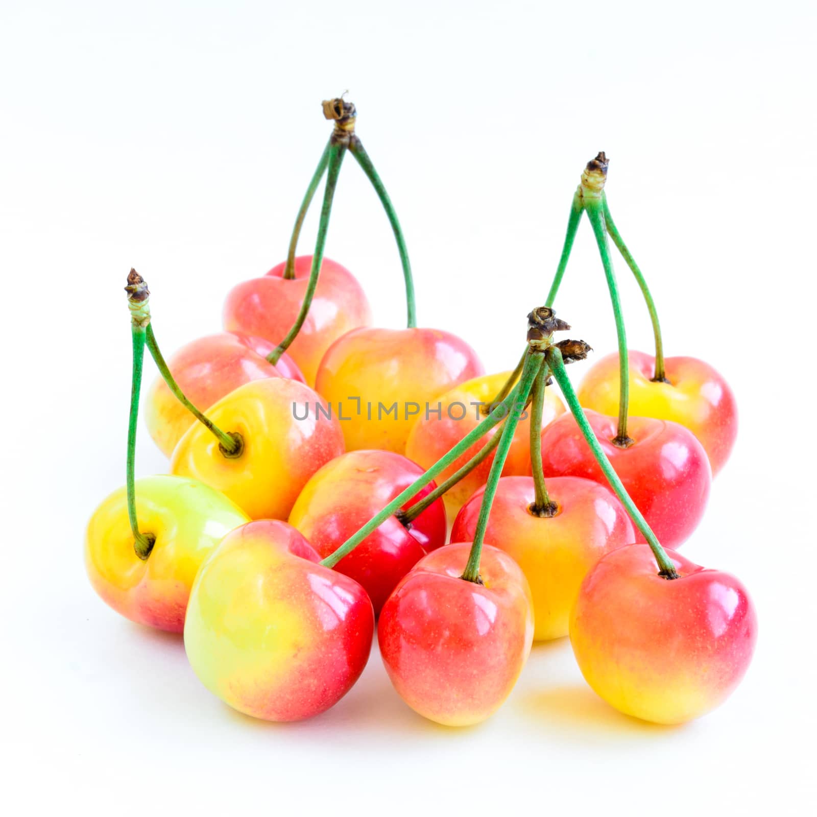 Studio shot group of Rainier cherries with long stems isolated on white by trongnguyen