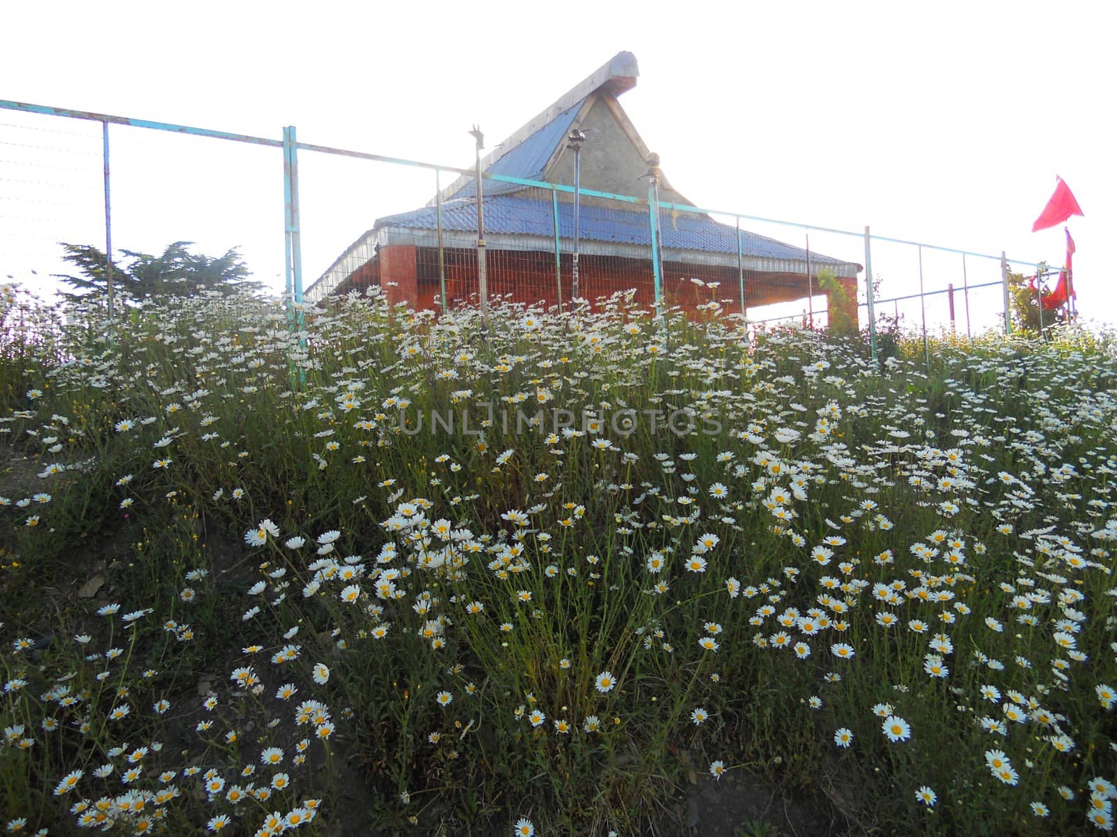 a wayside temple