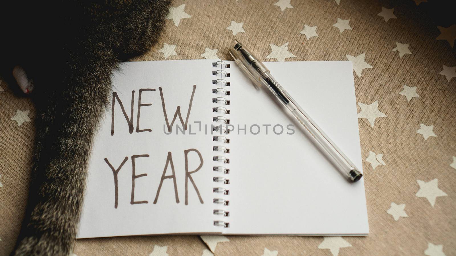 Notebook with pen to write goals of new year - with cat on christmas background