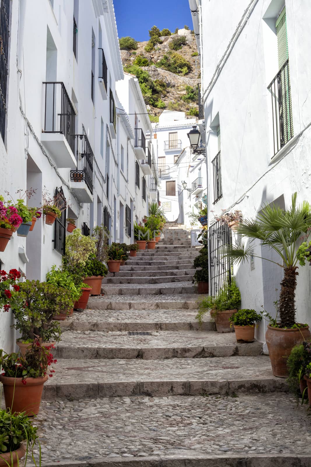 Small alley in a old town in Andalusia, Spain. Pavers and plants decorate the alley. Vertical photo