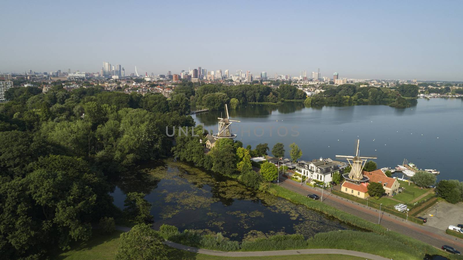 View on the skyline of Rotterdam as seen from the Kralingse Bos by Tjeerdkruse