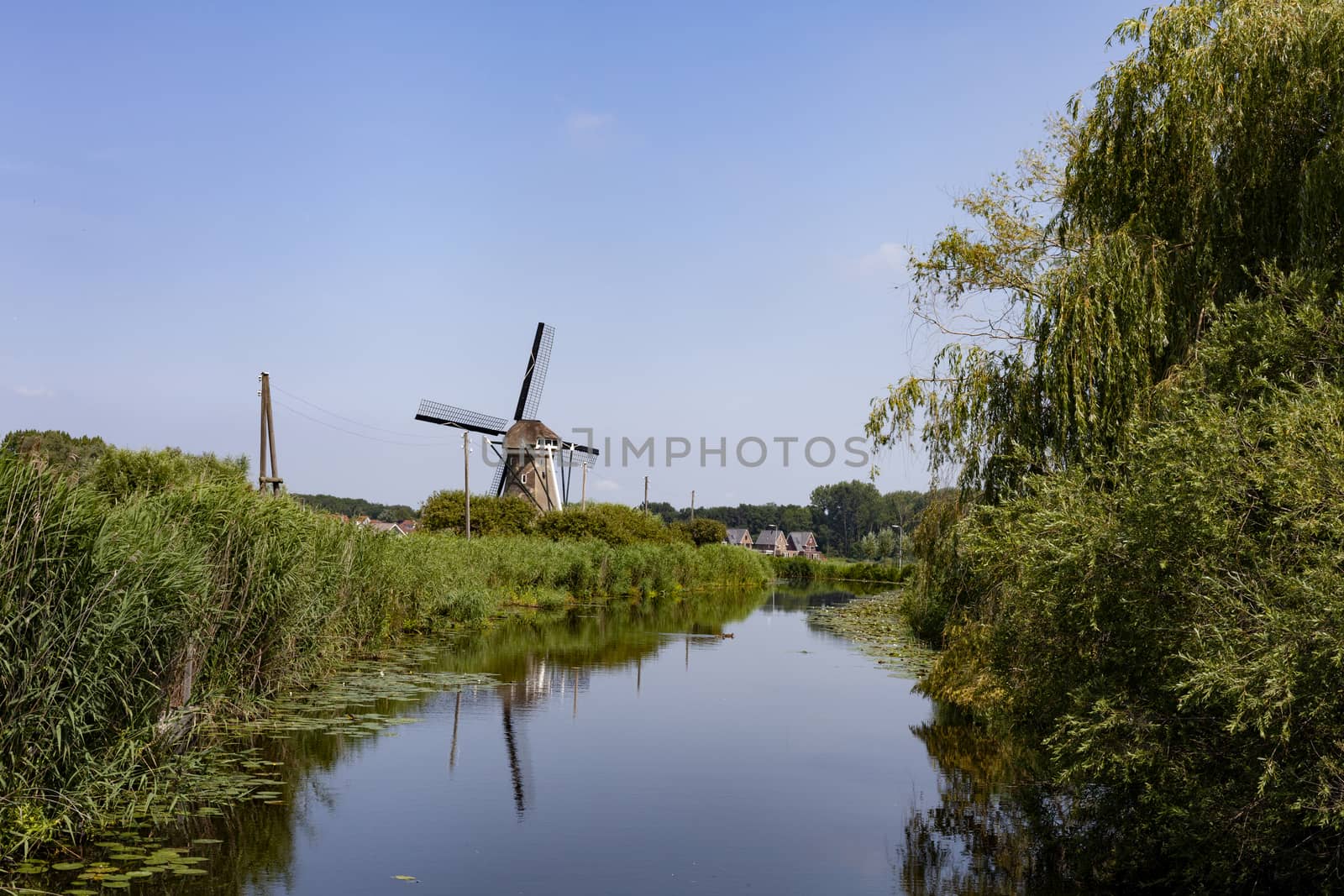 Windmill farm river landscape. Windmill farm scene. Village wind by Tjeerdkruse
