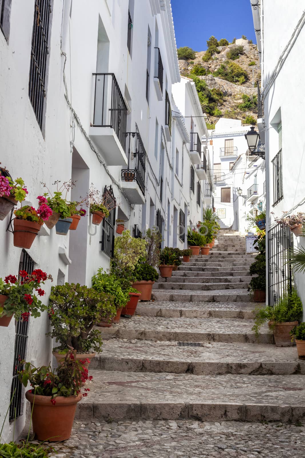 Small alley in a old town in Andalusia, Spain. Pavers and plants decorate the alley. Vertical photo