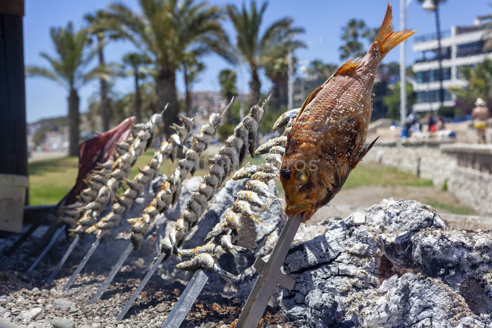 Malagueta Beach Bar, Fish Barbeque, Malaga, Andalucia, Andalusia, Spain