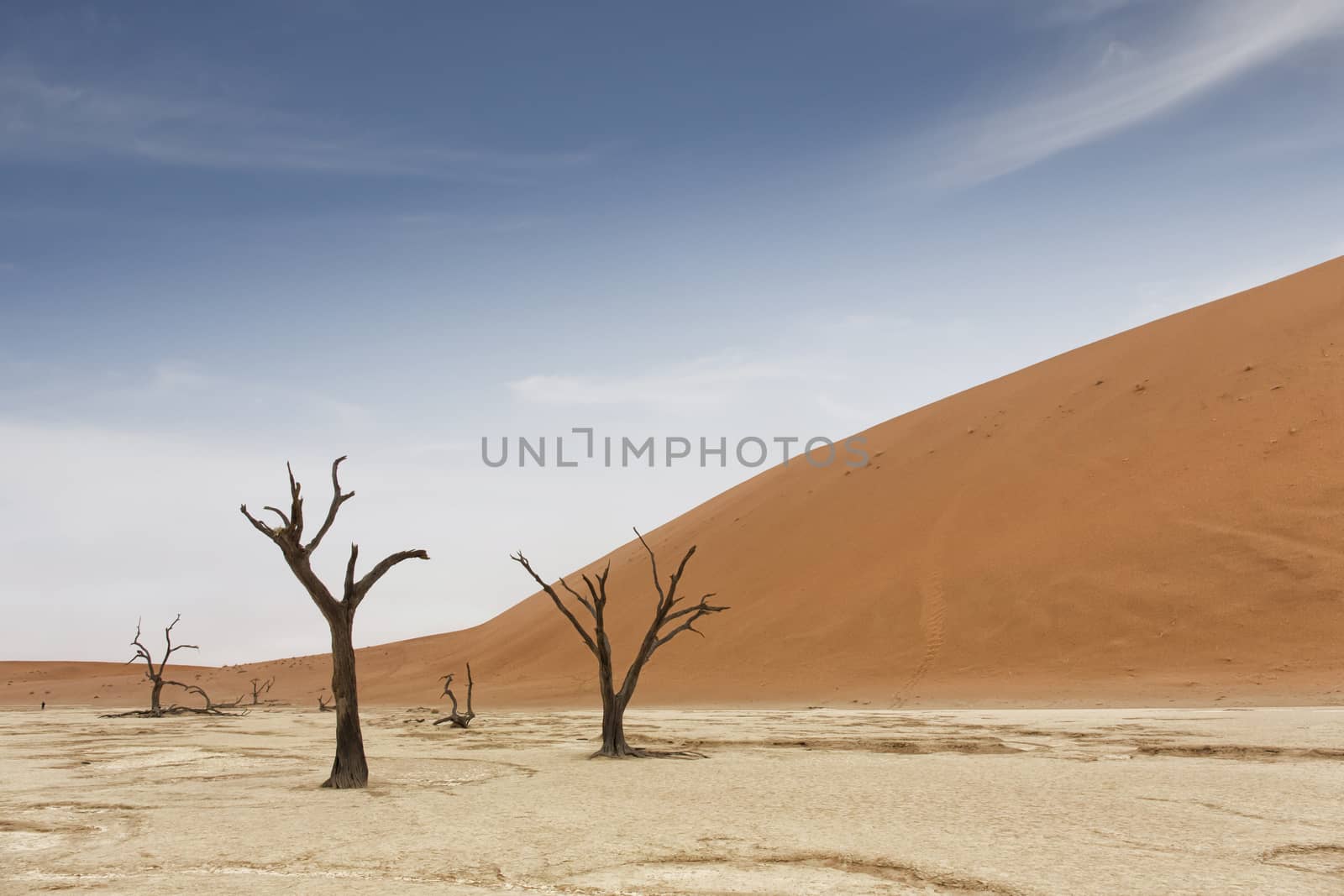Deadvlei is a white clay pan located near the more famous salt pan of Sossusvlei, inside the Namib-Naukluft Park in Namibia. Also written DeadVlei or Dead Vlei, its name means "dead marsh" 