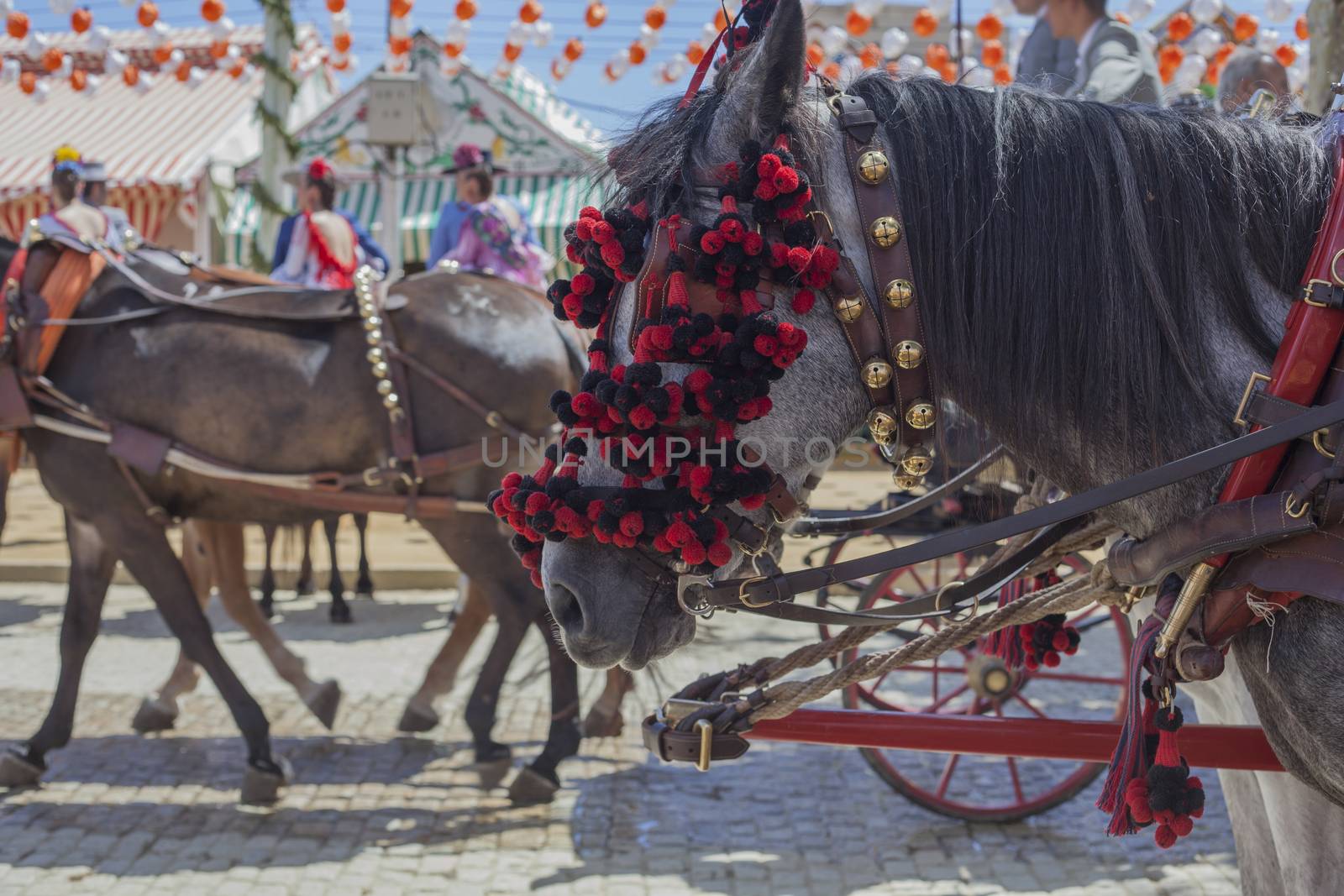 Feria horses. Feria de Abril in Sevilla by Tjeerdkruse