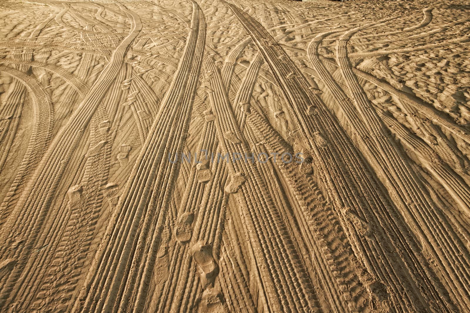 Tracks of cars on the sand in the desert sand