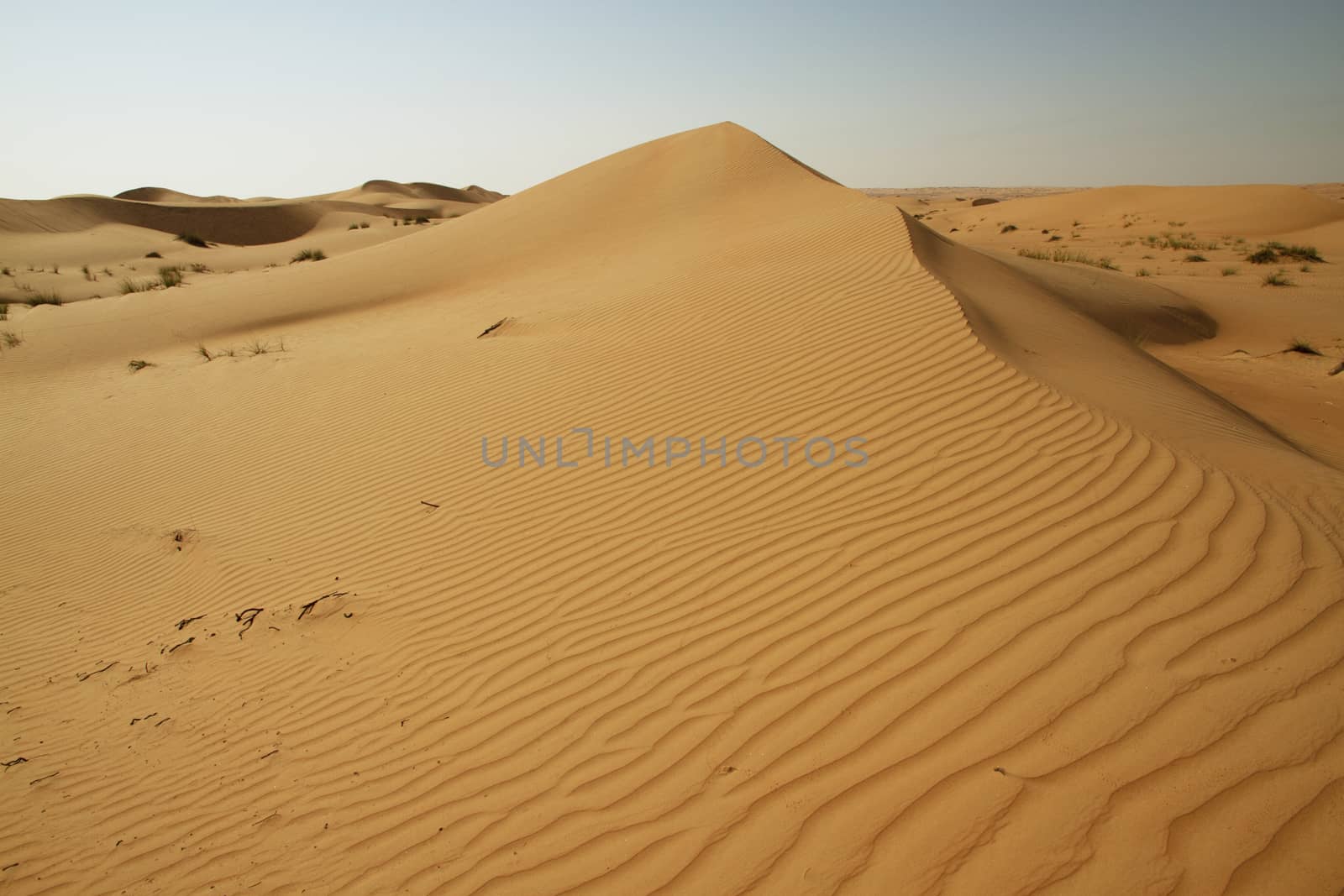 A dune landscape in the Rub al Khali or Empty Quarter. Straddling Oman, Saudi Arabia, the UAE and Yemen, this is the largest sand desert in the world