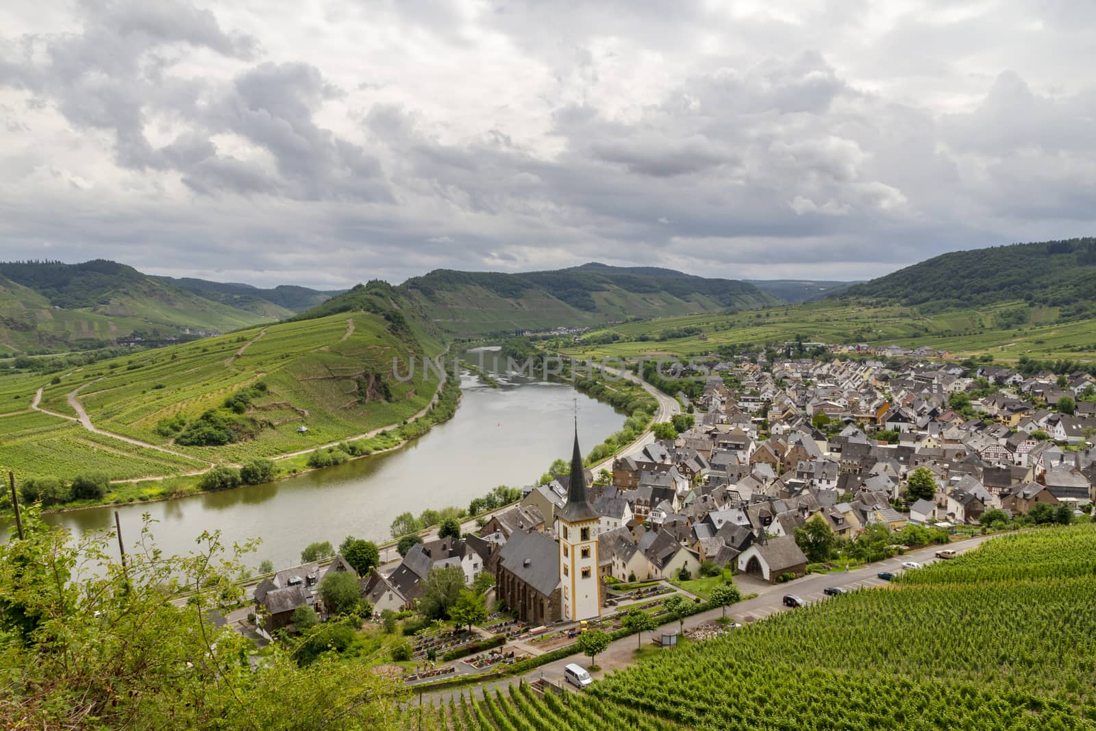 Panoramic landscape with autumn vineyards. Mosel, Germany by Tjeerdkruse