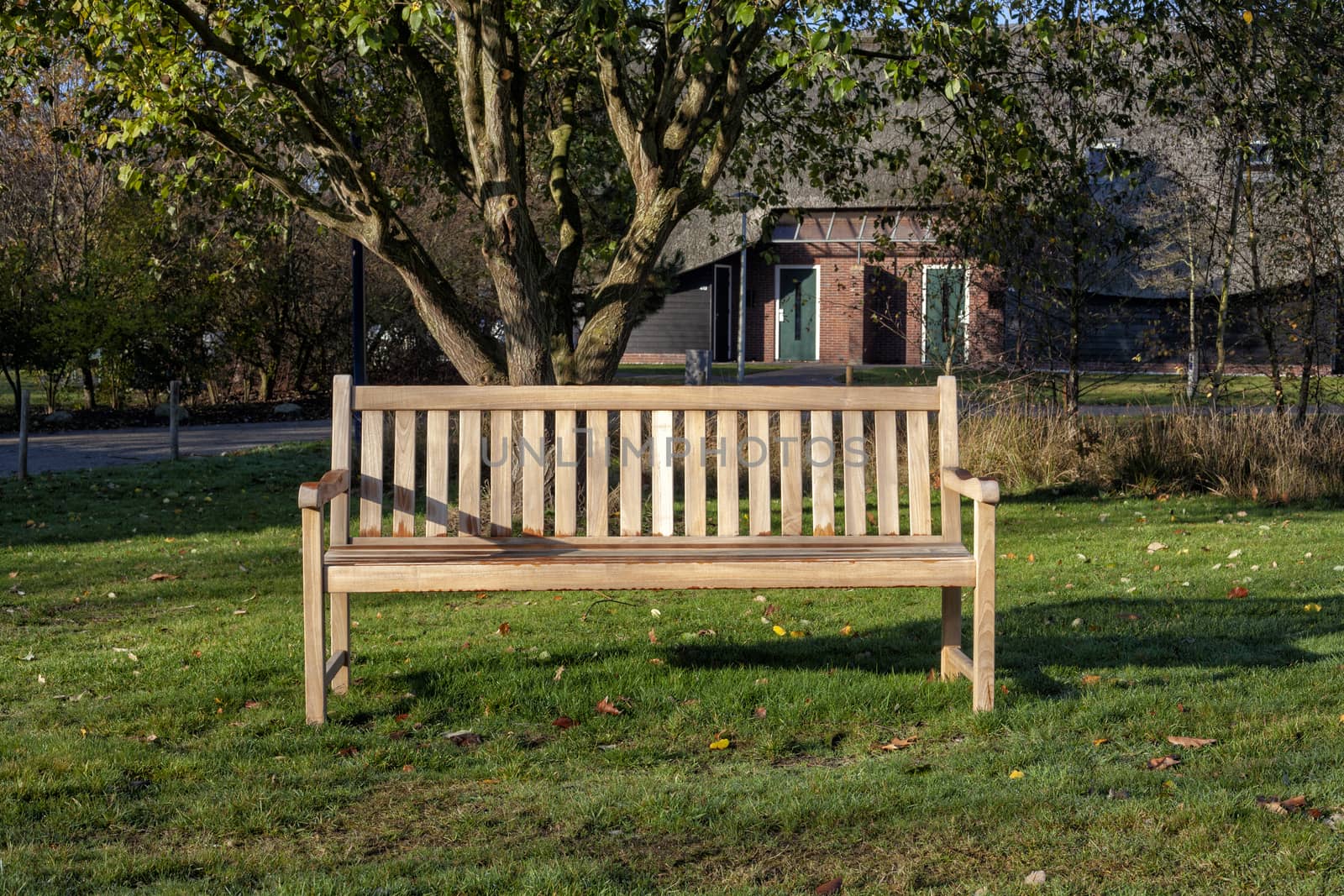 Bench in the park in autumn season - Image