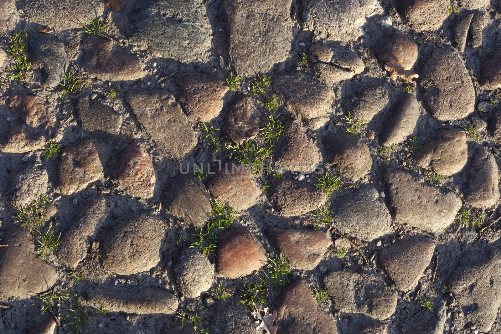 Old park pavement with moss and fresh green grass between paving stones in beautiful city park. Big smooth pebble stones closeup - Image
