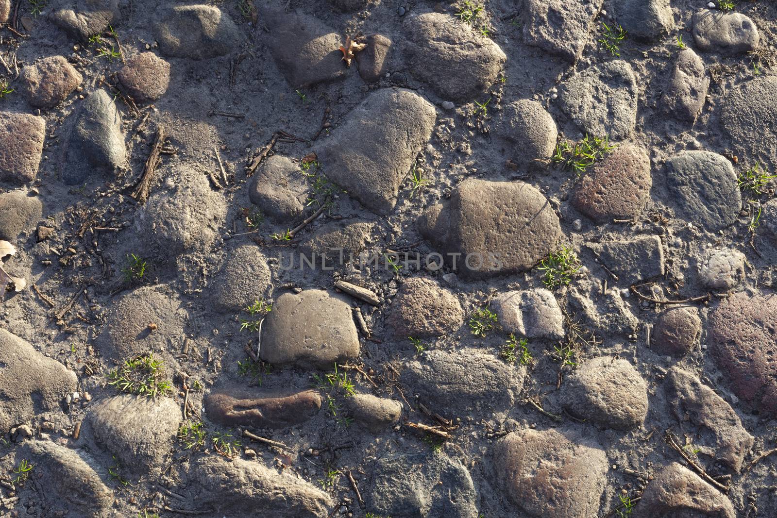 pavement with moss and fresh green grass between paving stones in beautiful city park. Big smooth pebble stones closeup - Image