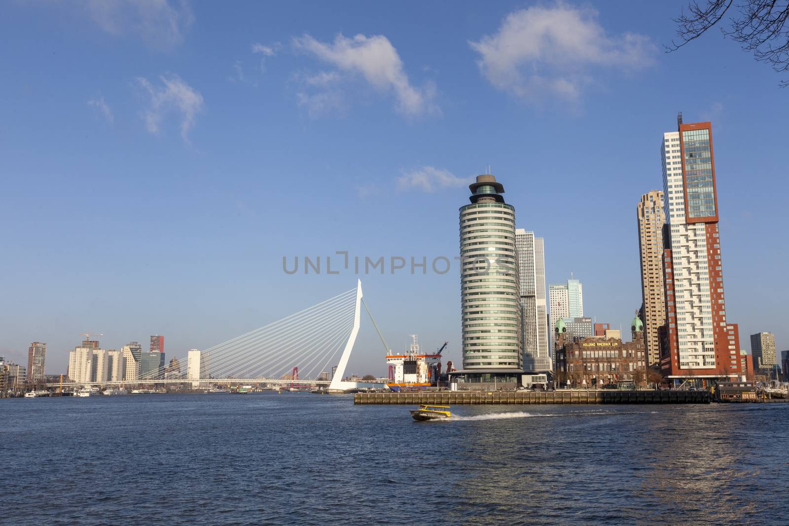 Rotterdam Skyline with Erasmusbrug bridge, Netherlands. - Image