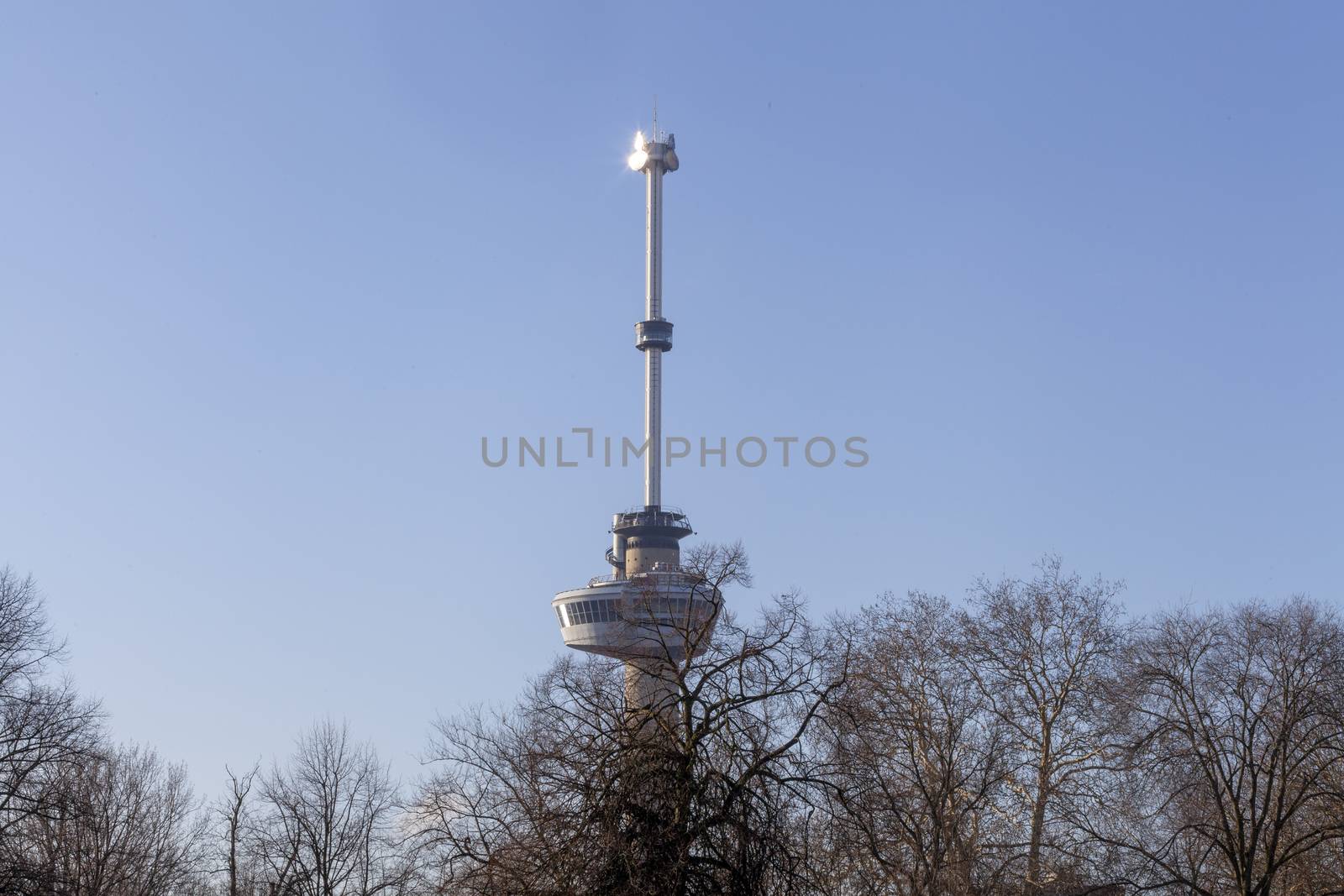 view of The Park in Rotterdam on a sunny day in autumn with a pond, trees, lawmns and in the background city icon the Euromast - Image