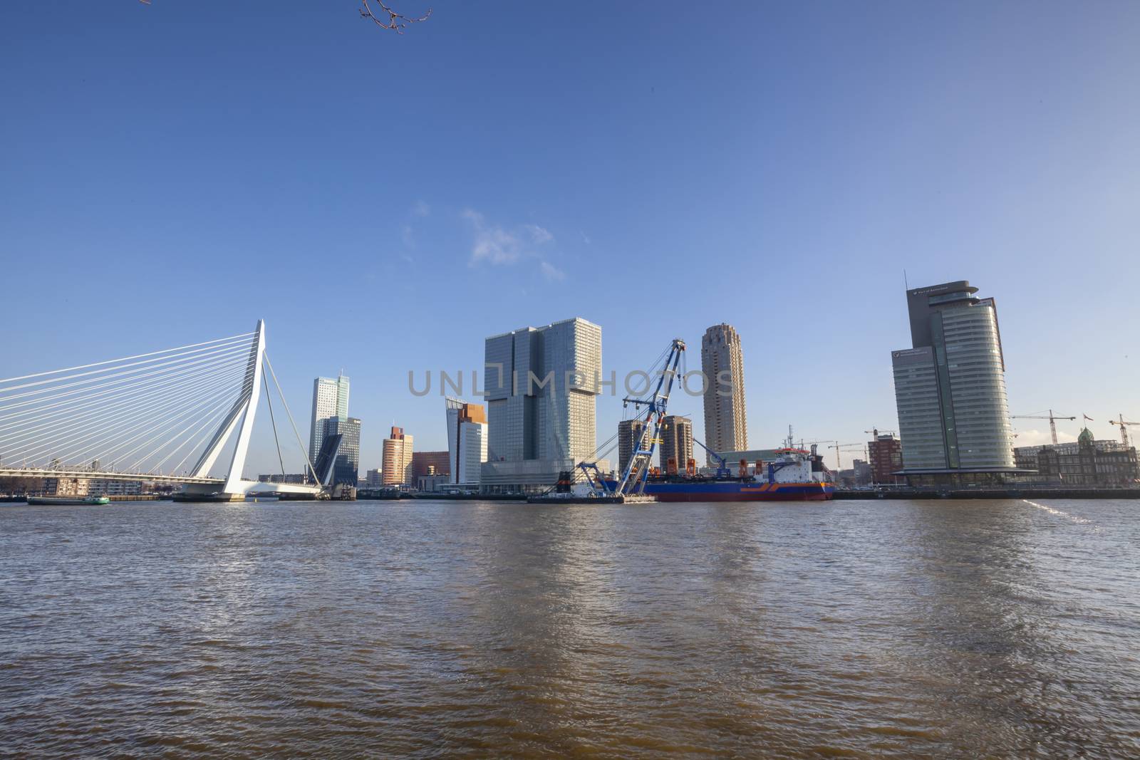 Modern Rotterdam Skyline Panorama, The Netherlands - Image