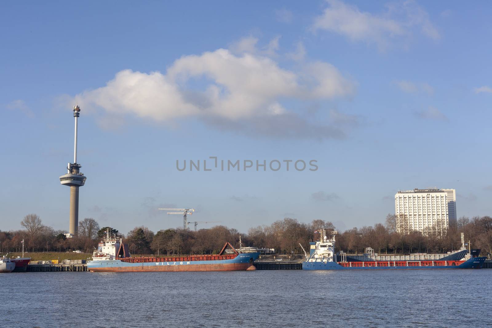 view on euromast and cityscape of Rotterdam from river bank on sunny october day - Image