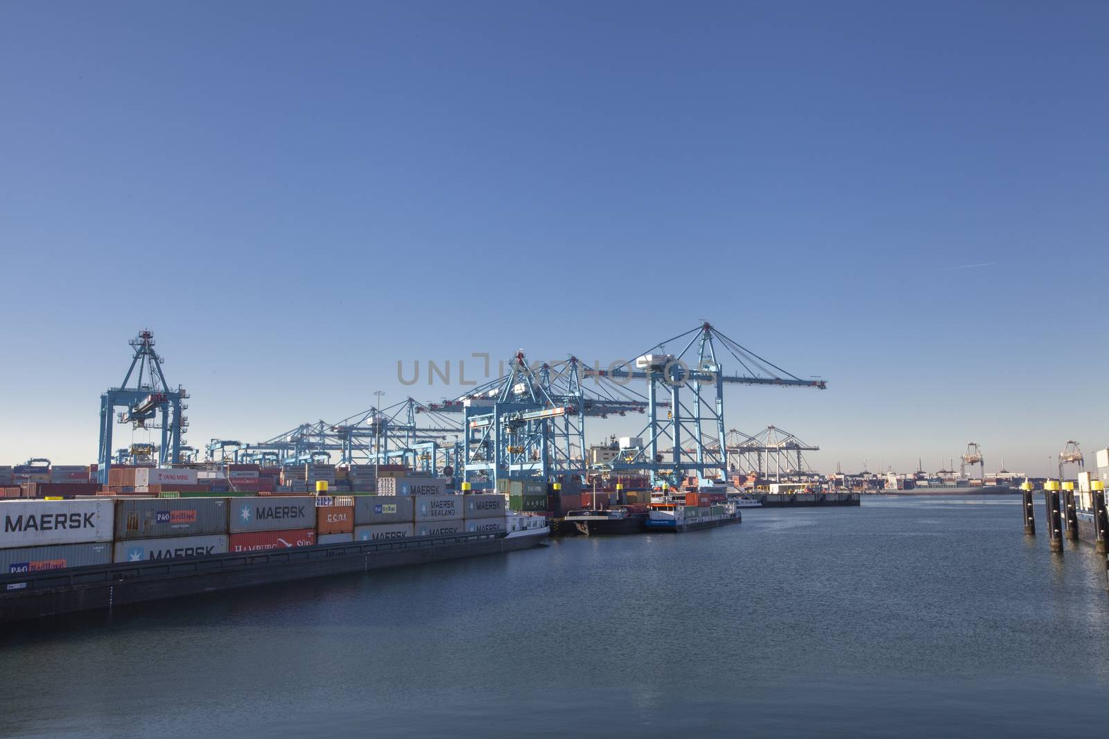 container terminal in the Rotterdam harbor by Tjeerdkruse