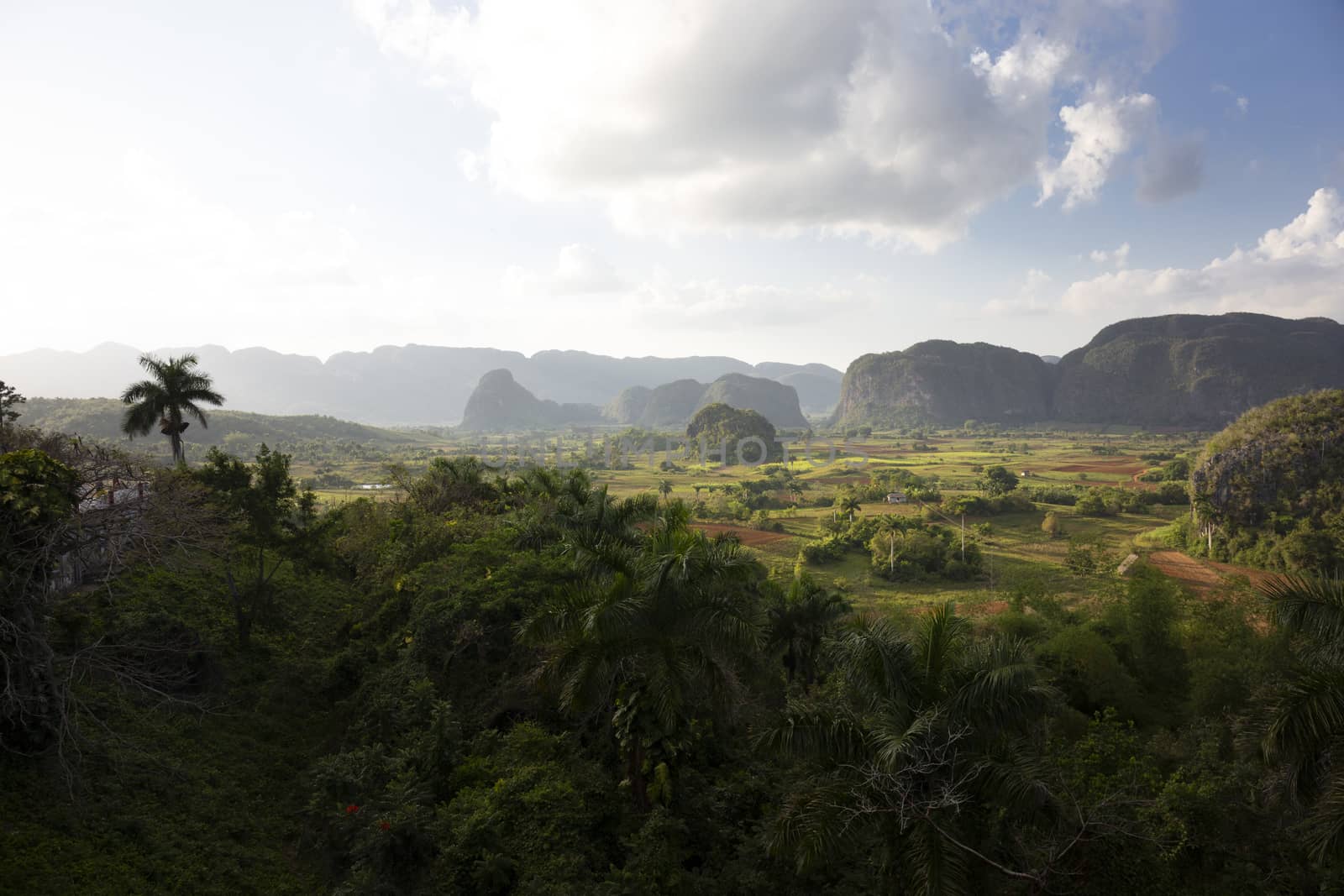 The Vinales valley in Cuba, a famous tourist destination and a major tobacco growing area, Cuba
