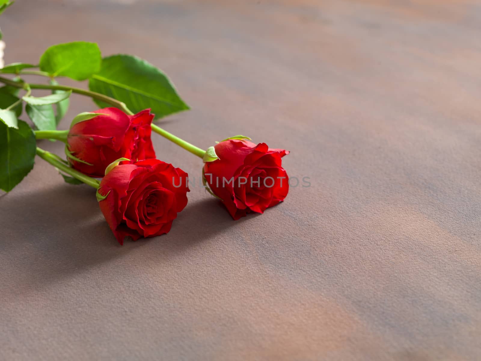 Roses and a hearts on wooden board, Valentines Day background, wedding day - Image