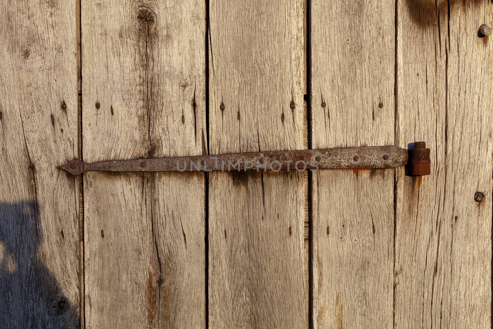 Old Wooden Double door with iron handles and hinges