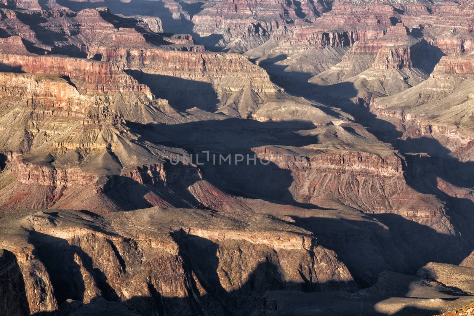 Late afternoon in the Grand Canyon Arizona, USA