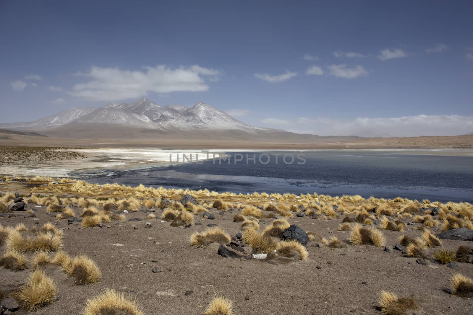 Panorama of Laguna Verde and the volcanos Licancabur and Juriques within the Eduardo Avaroa Andean Fauna National Reserve against a blue cloudy sky, Bolivia. Border with Chile