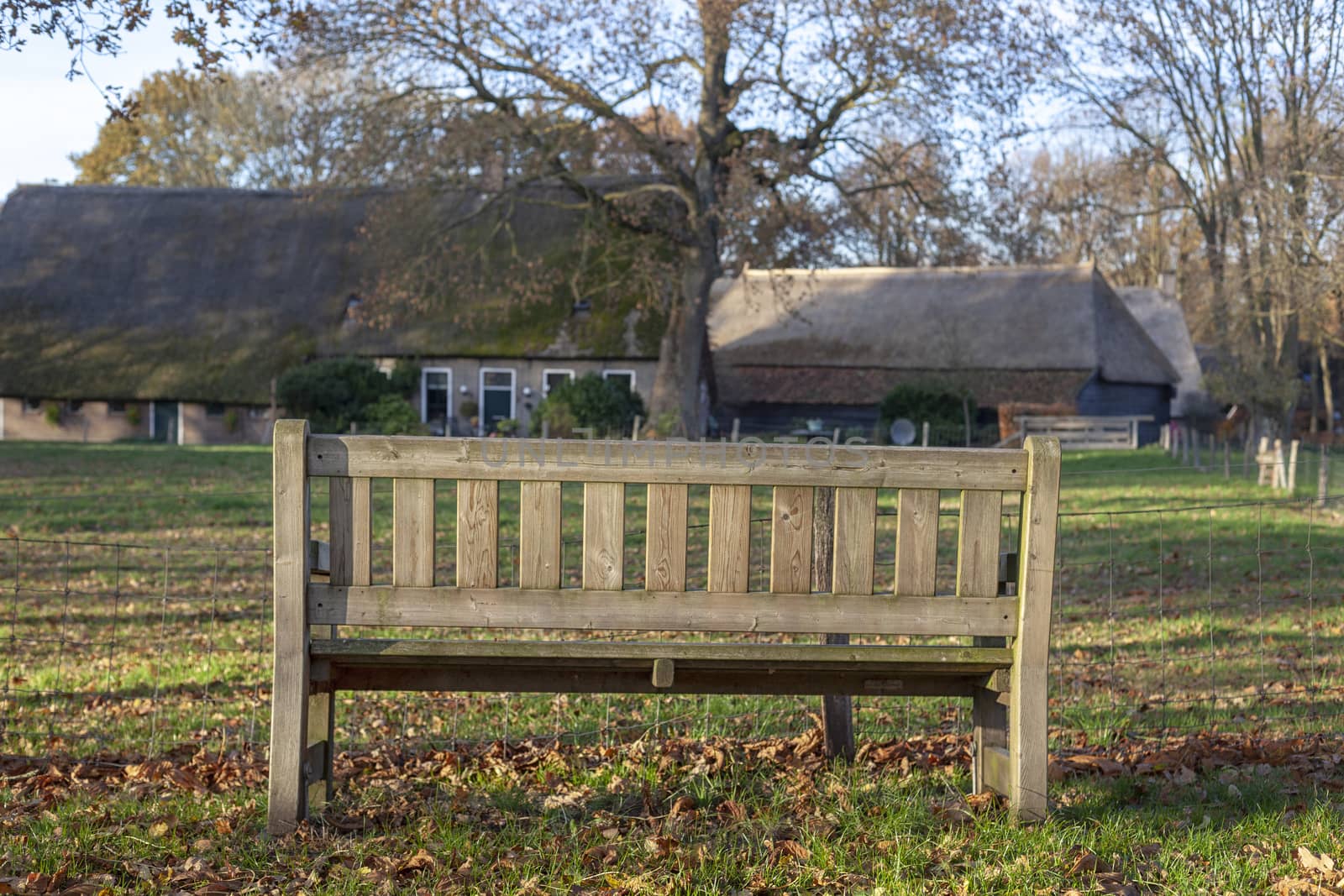 Blank Old wooden bench in a shady area of the garden or the park, outdoor - Image