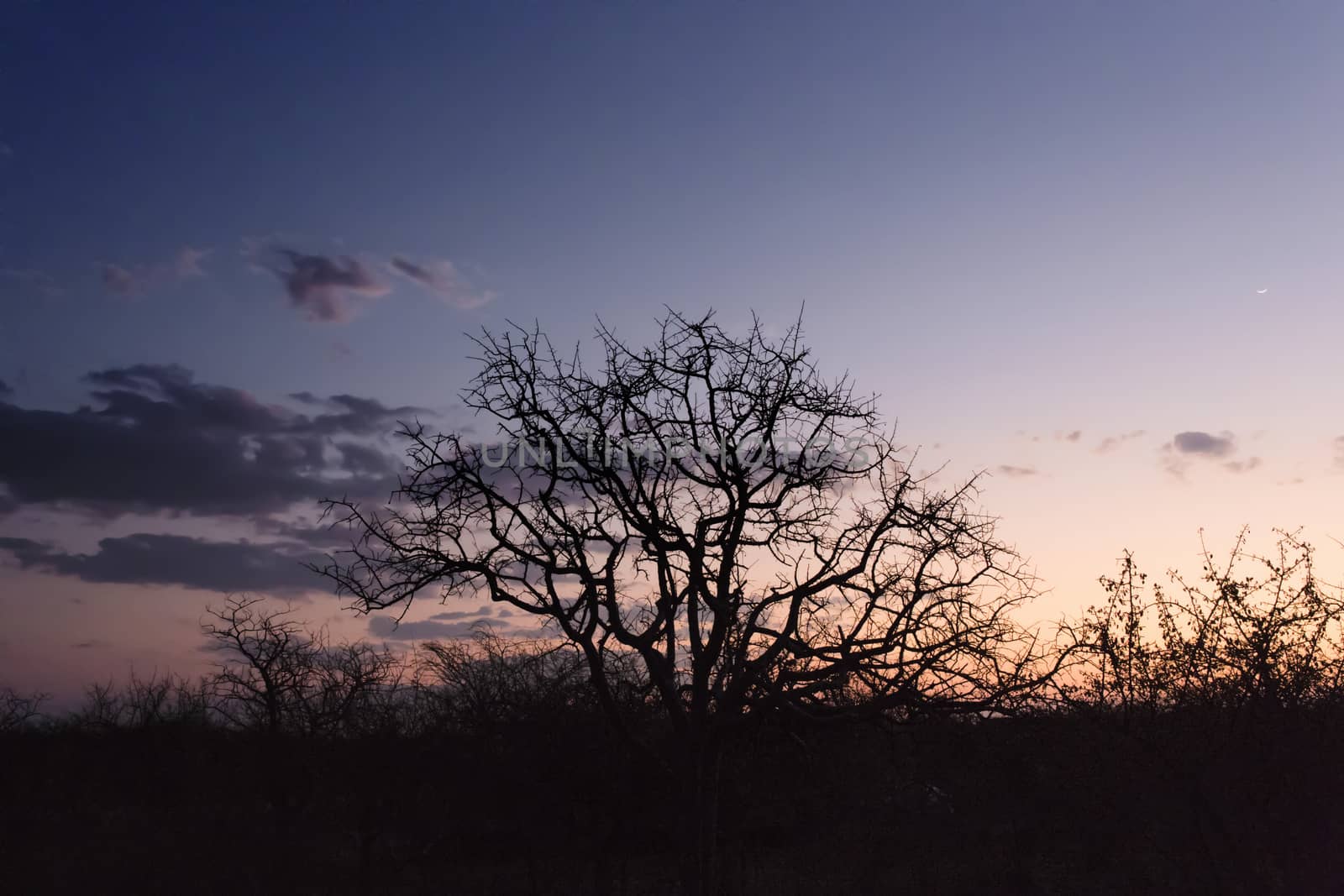 Sunset over the okavango delta in Botswana