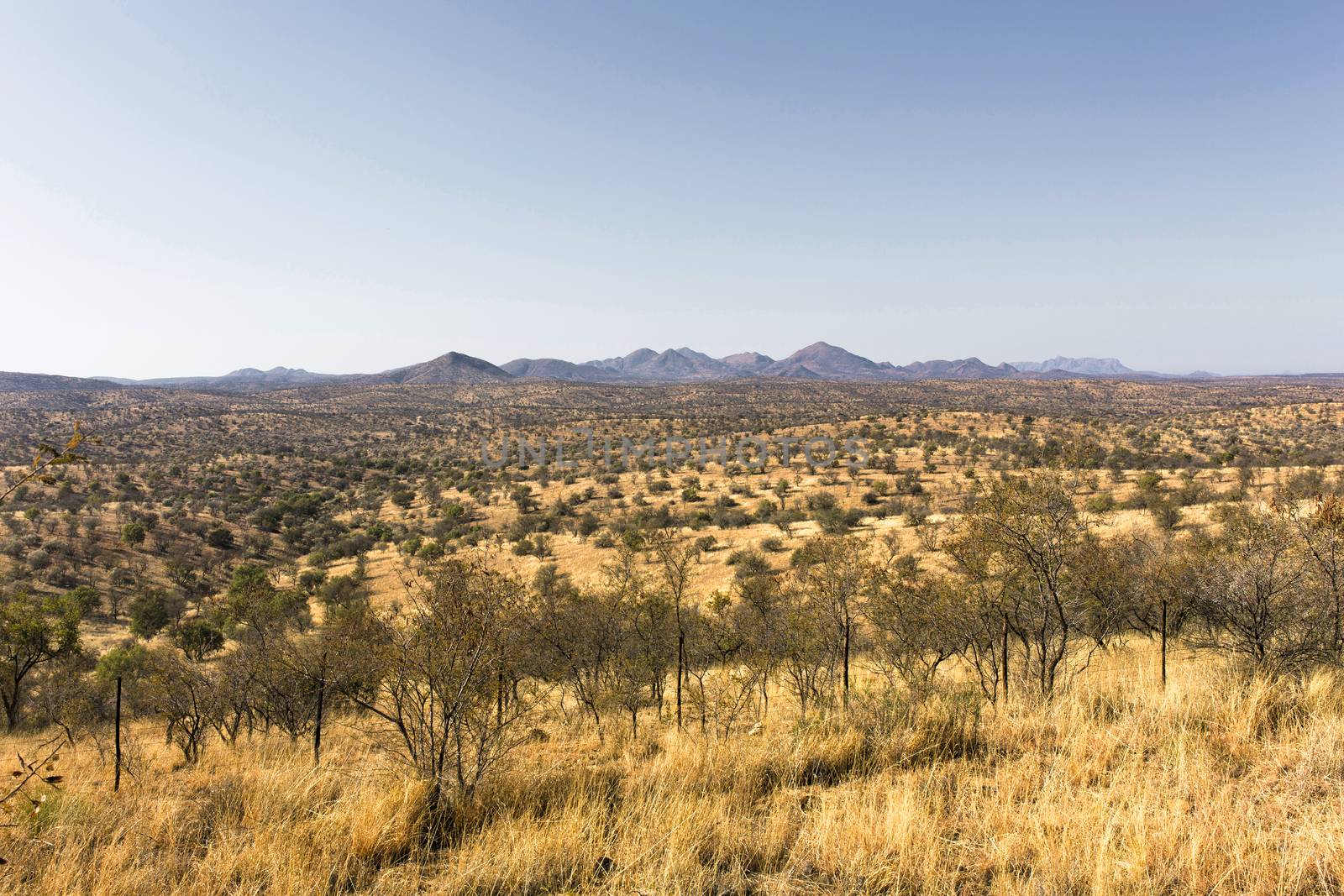 Rural area landscape near Windhoek in Namibia by Tjeerdkruse