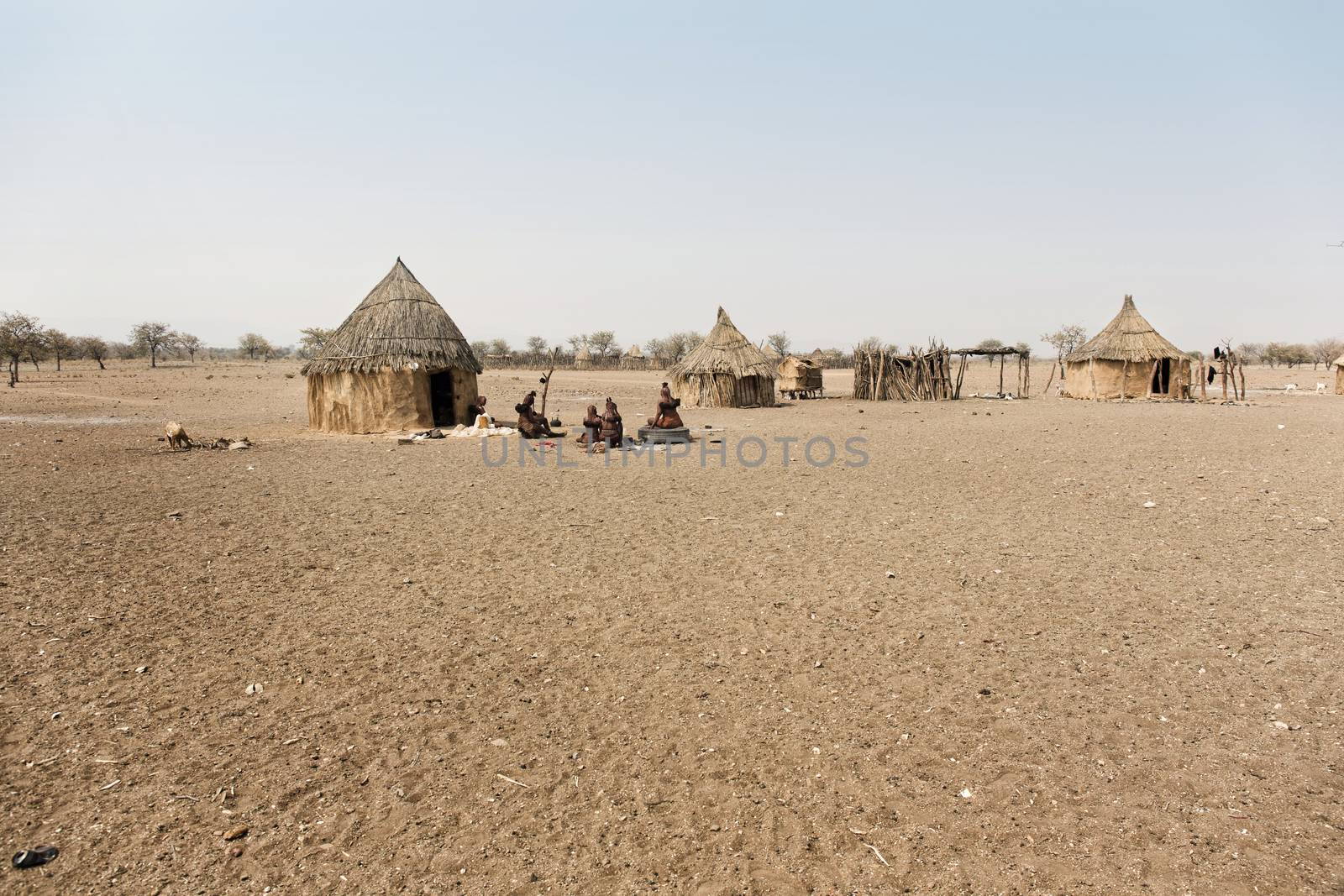Himba village with traditional huts near Etosha National Park in by Tjeerdkruse