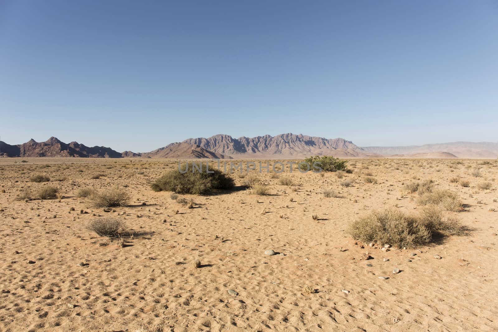 panoramic view of the namib naukluft park, Hardap, Namibia, Afri by Tjeerdkruse