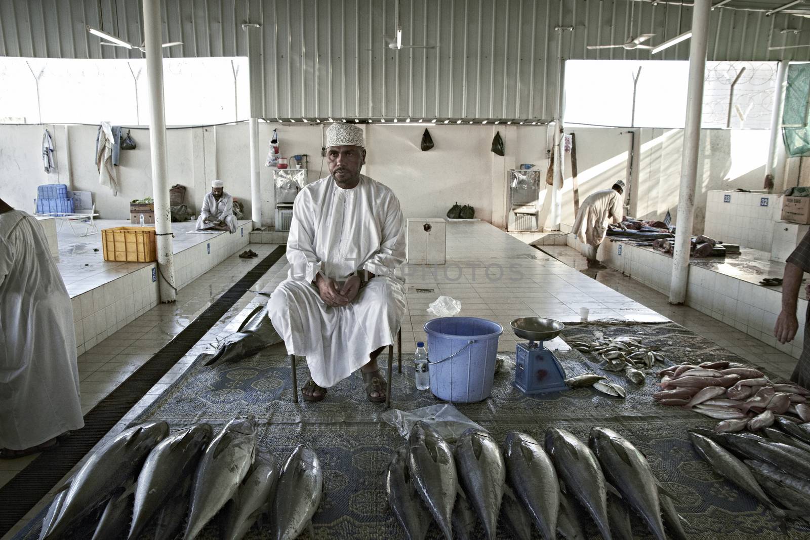 Old omani fisherman selling his catch at the old fish market in  by Tjeerdkruse