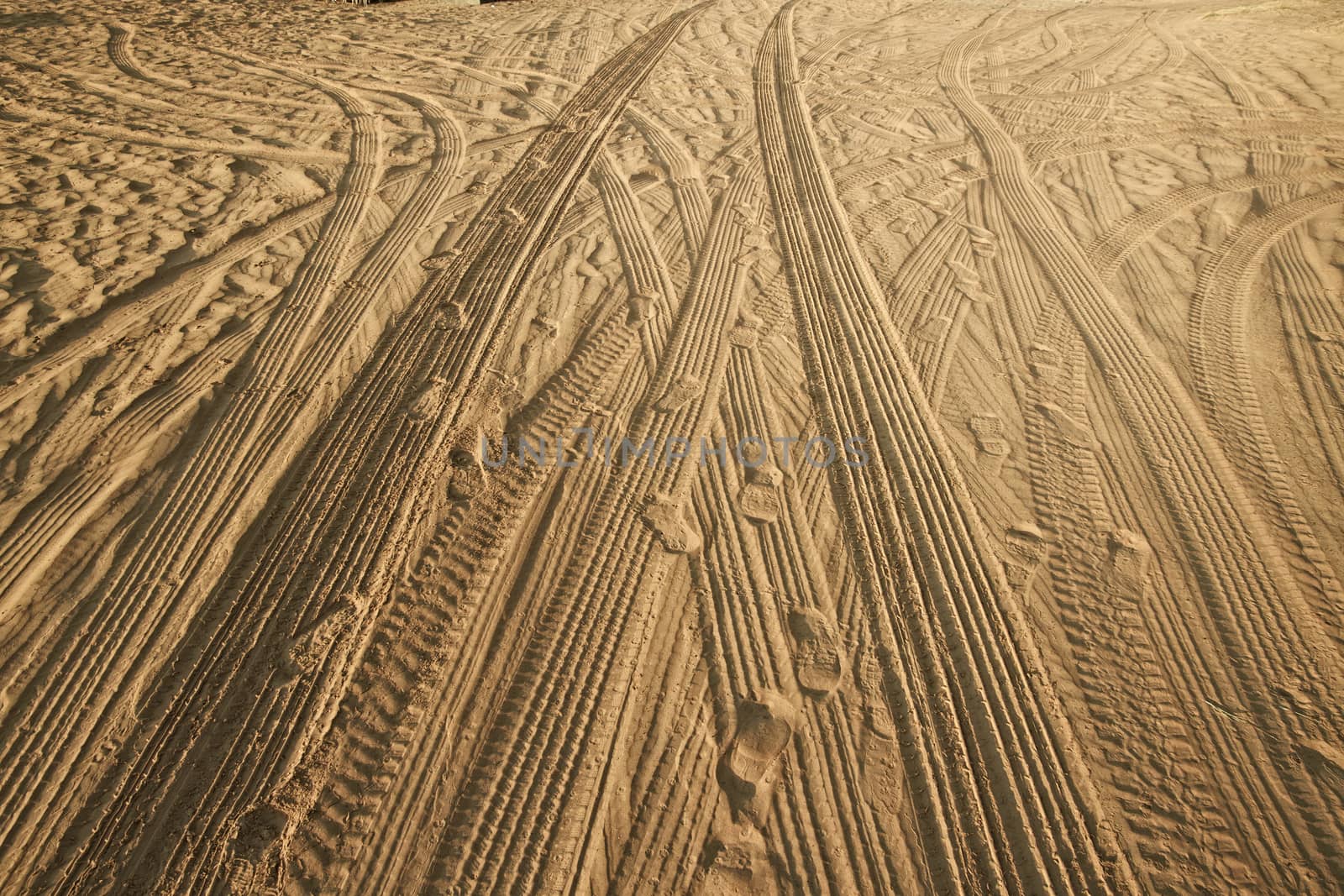 Tracks of cars on the sand in the desert by Tjeerdkruse