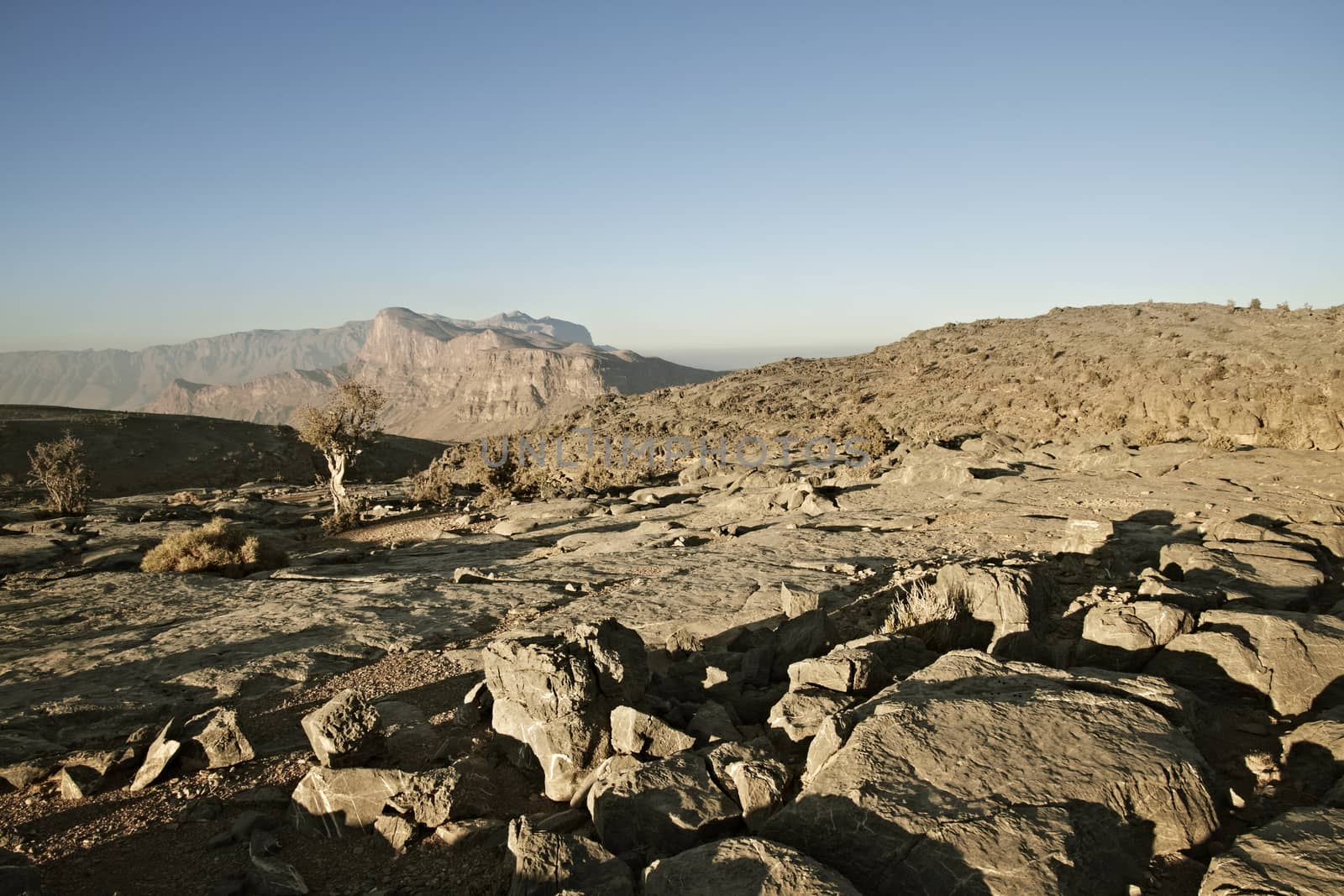 View of "the grand canyon of middle east" at the Jebel Shams mou by Tjeerdkruse