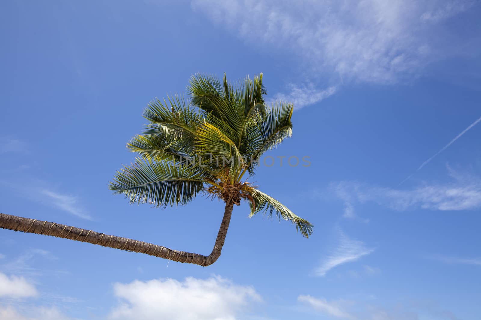 Beautiful beach. View of nice tropical beach with palms around. Holiday and vacation concept. Tropical beach