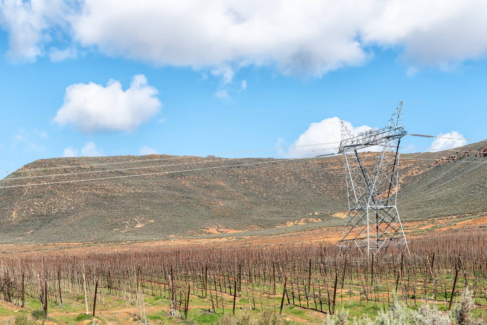 Farm landscape on road R46 near Ceres in the Western Cape Province. Espalier fruit trees and electricity infrastructure are visible