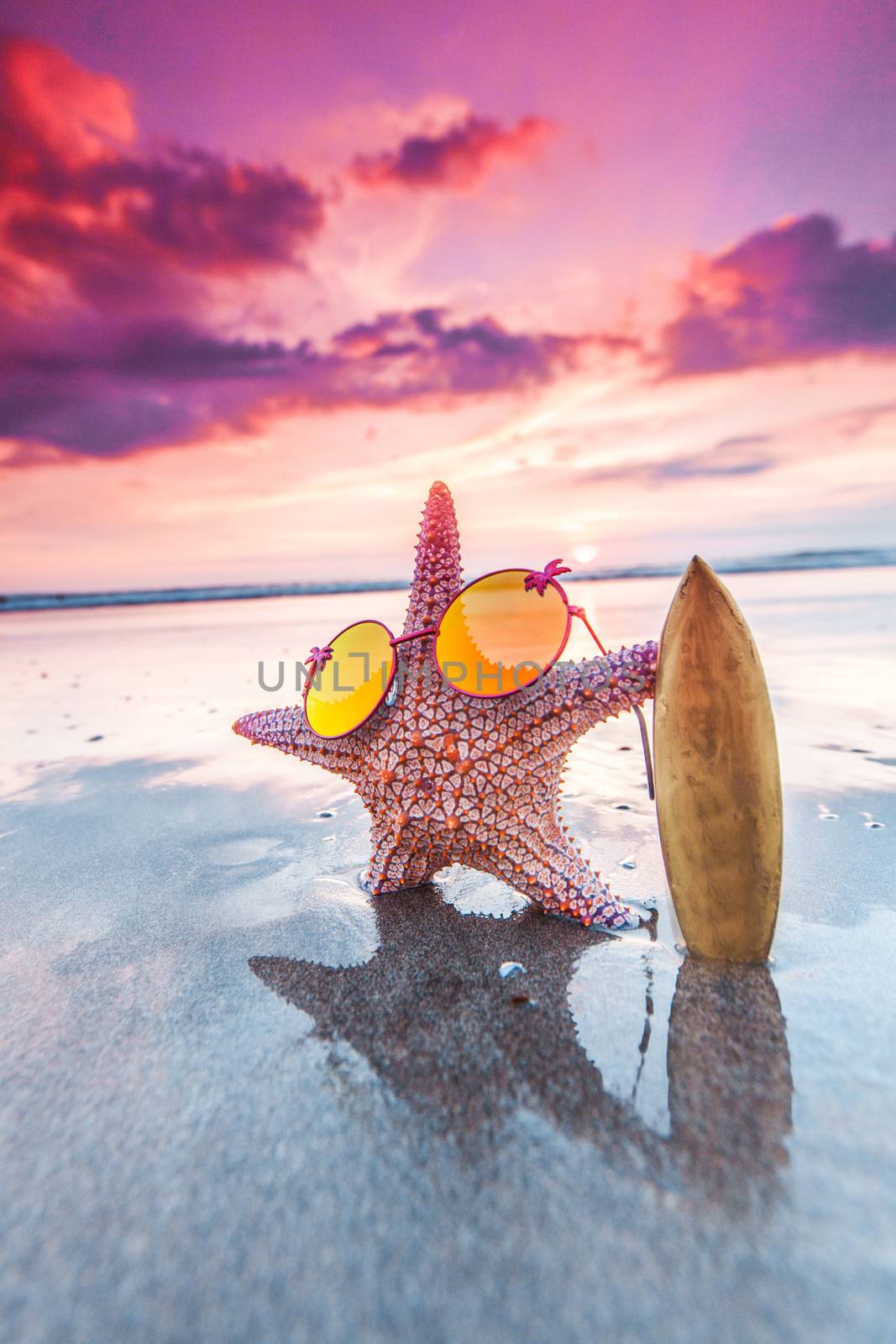 Starfish surfer on beach by Yellowj