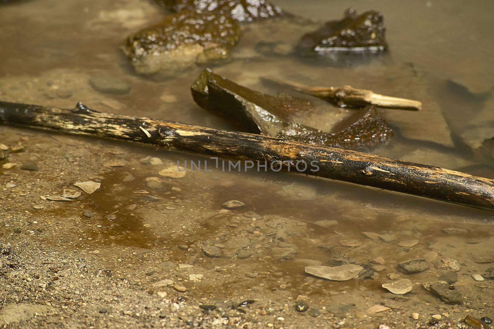 Small stream in a forest of northern Italy. Water flows through the rocks to get down. Schivanoia Falls, Teolo, Italy.