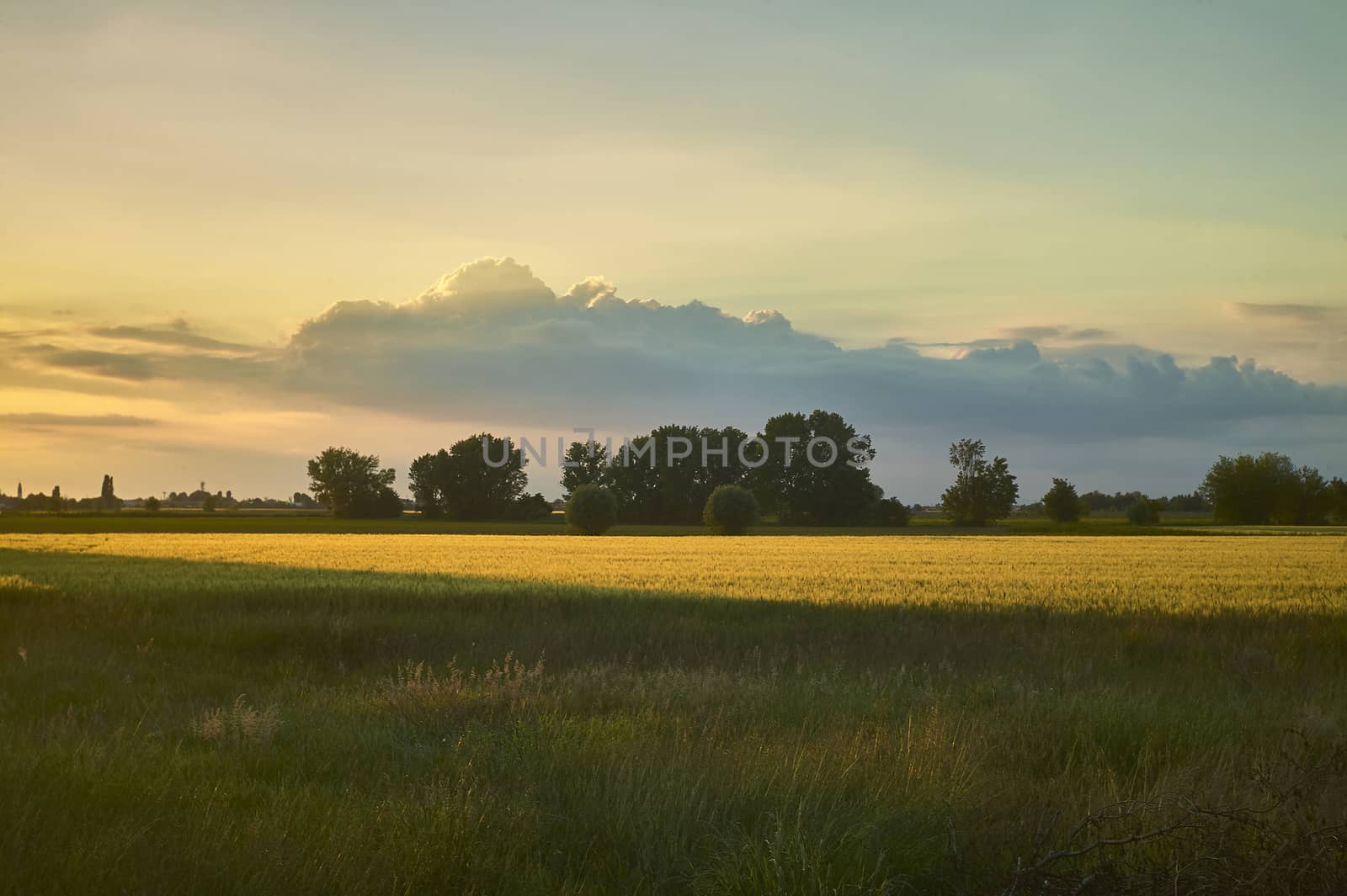 Typical countryside landscape of Venetian territory in Italy, resumed at sunset with an approaching storm, which creates contrasts between unique warm and cold colors. A wonder of nature.