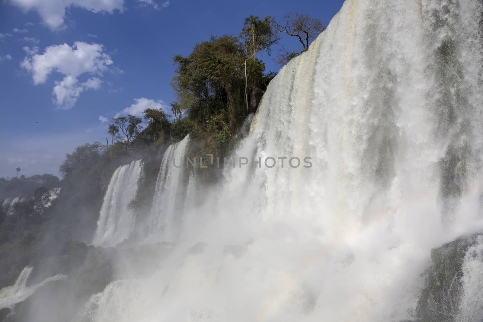 iguazu falls national park. tropical waterfalls and rainforest l by Tjeerdkruse