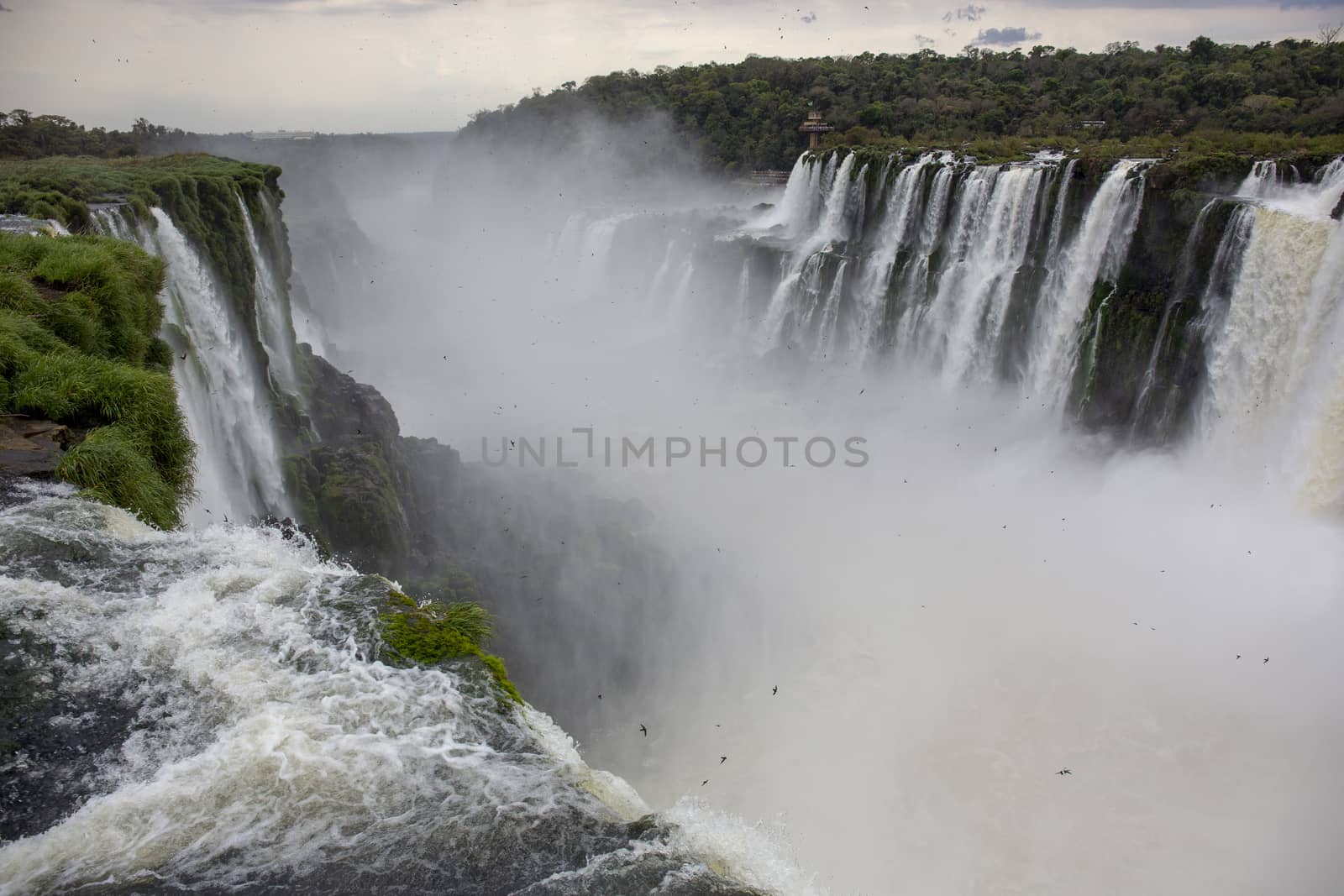 majestic Iguazu Falls, one of the wonders of the world by Tjeerdkruse