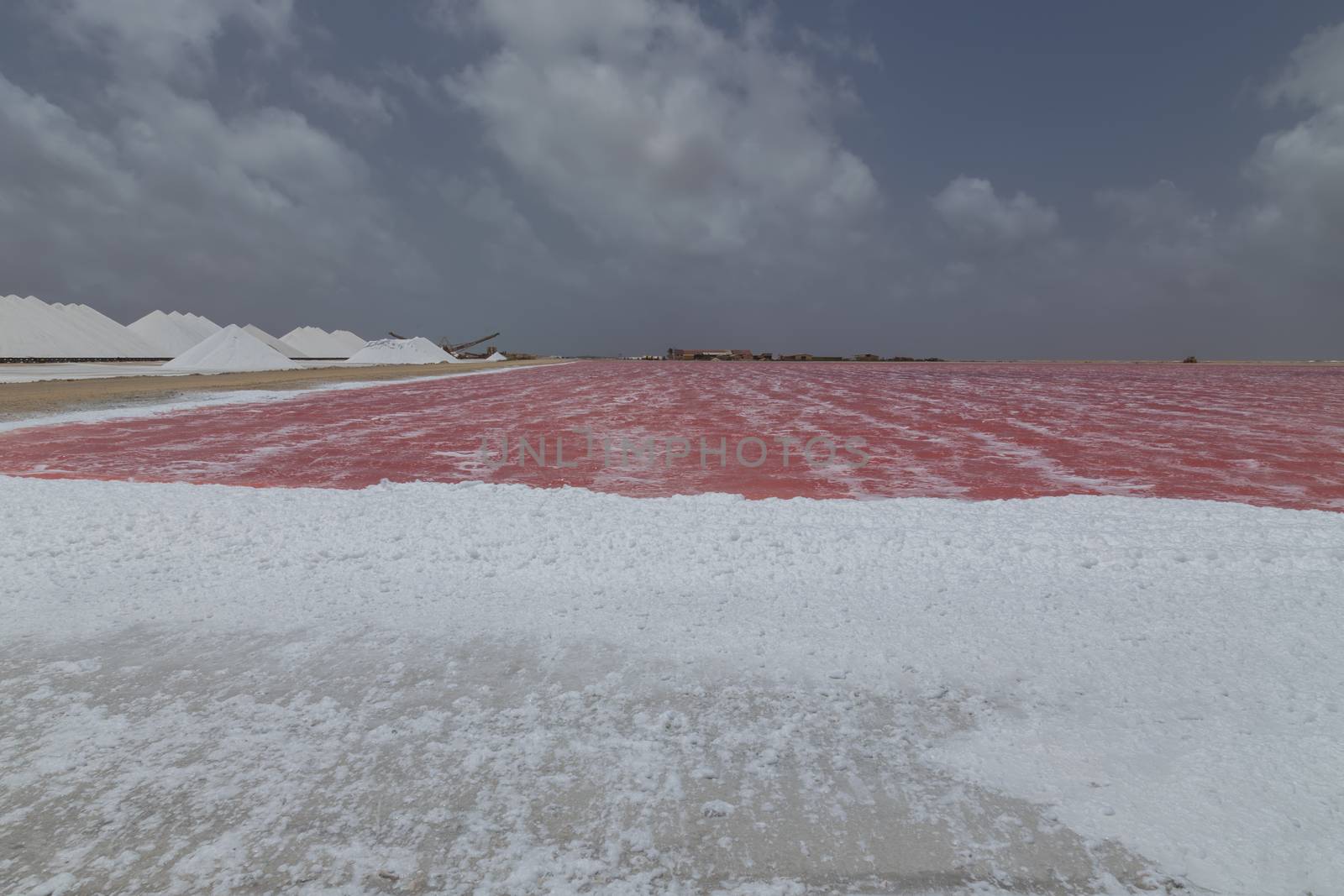 rose caribbean salt lake Bonaire island Caribbean Netherland Antilles by desant7474