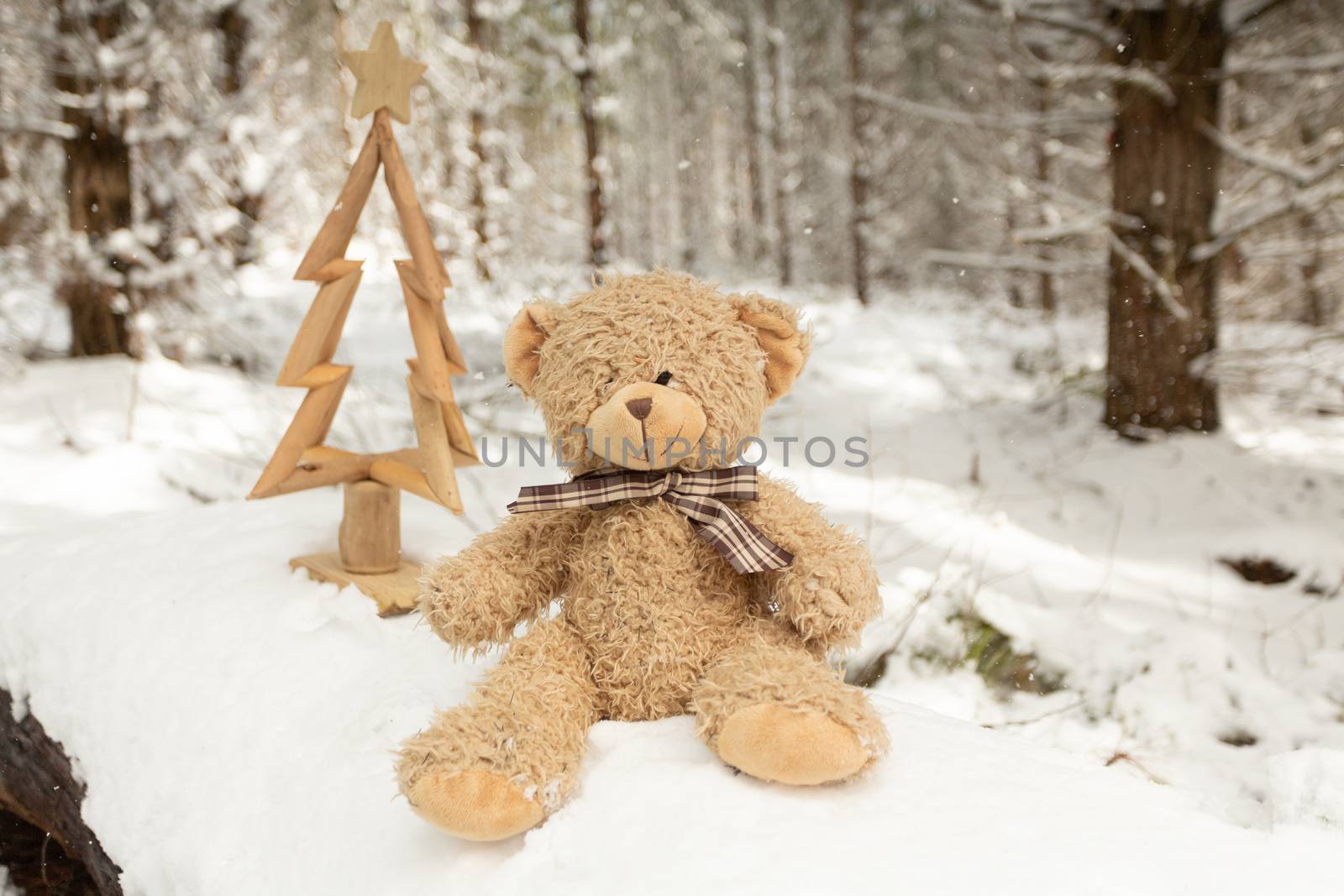 Scruffy bear and rustic Christmas tree in snow by lovleah