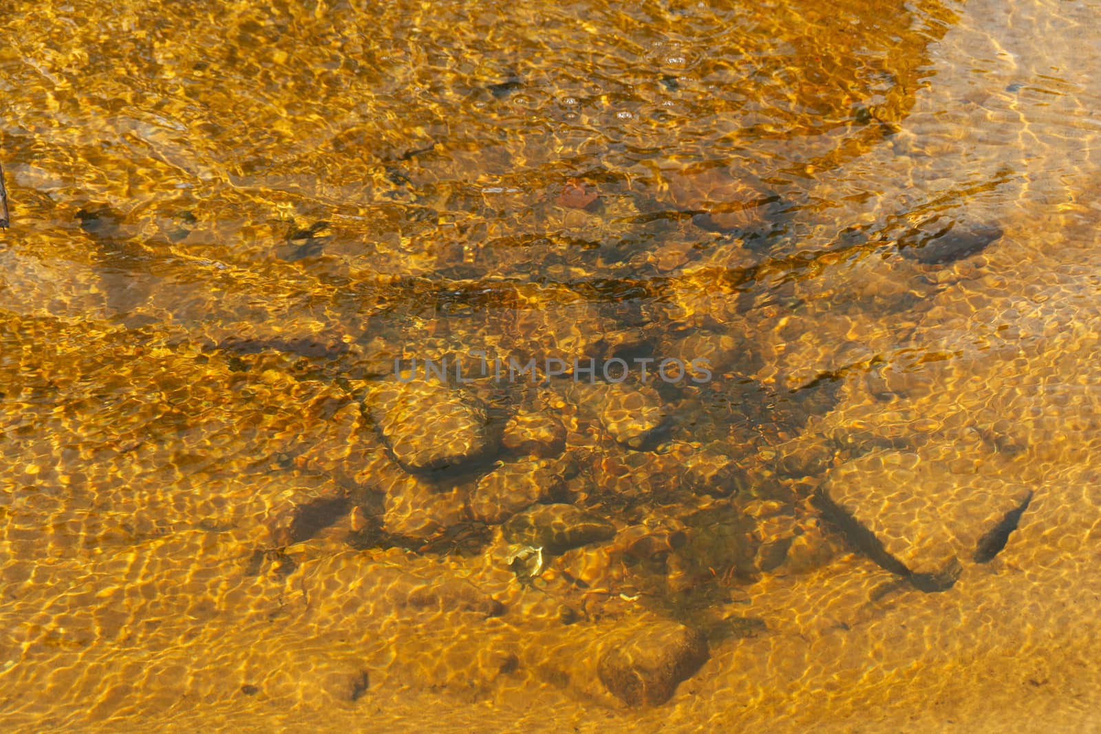 
The bottom of the lake is yellow strewn with pebbles and sand.