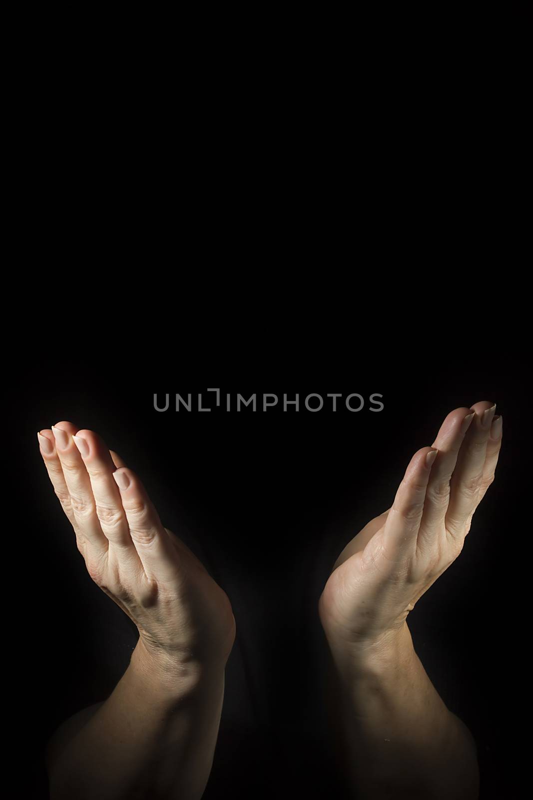 Women's hands in prayer by VIPDesignUSA