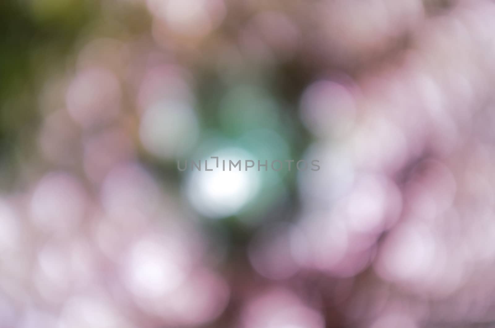 Colorful background with natural bokeh texture and defocused sparkling lights. Pastel colour backgound