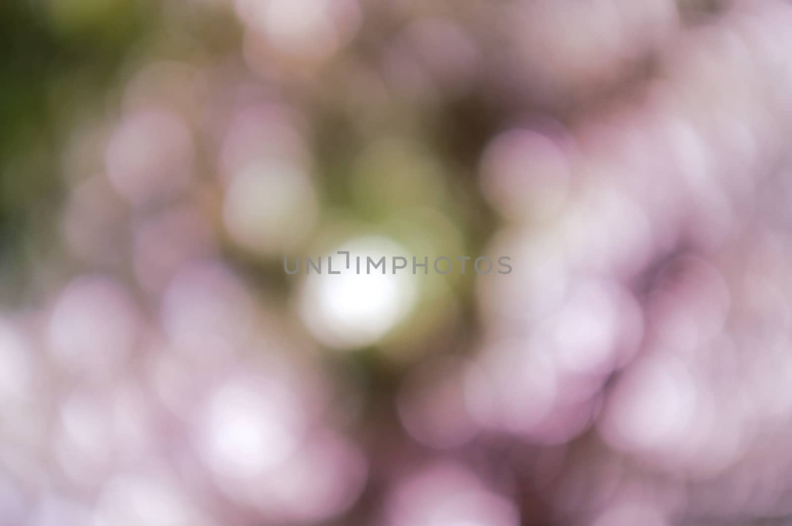 Colorful background with natural bokeh texture and defocused sparkling lights. Pastel colour backgound