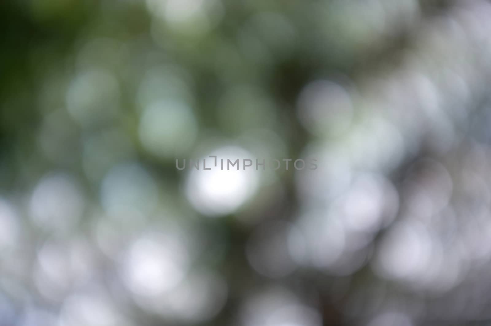 Colorful background with natural bokeh texture and defocused sparkling lights. DARK BACKGROUND FOR HALLOWEEN NIGHT 
