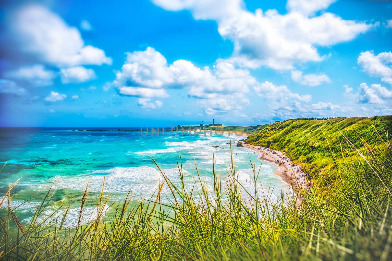Colorful seascape of Italy - Abruzzo - Vasto - Punta Aderci and Libertini beach with wild grass .